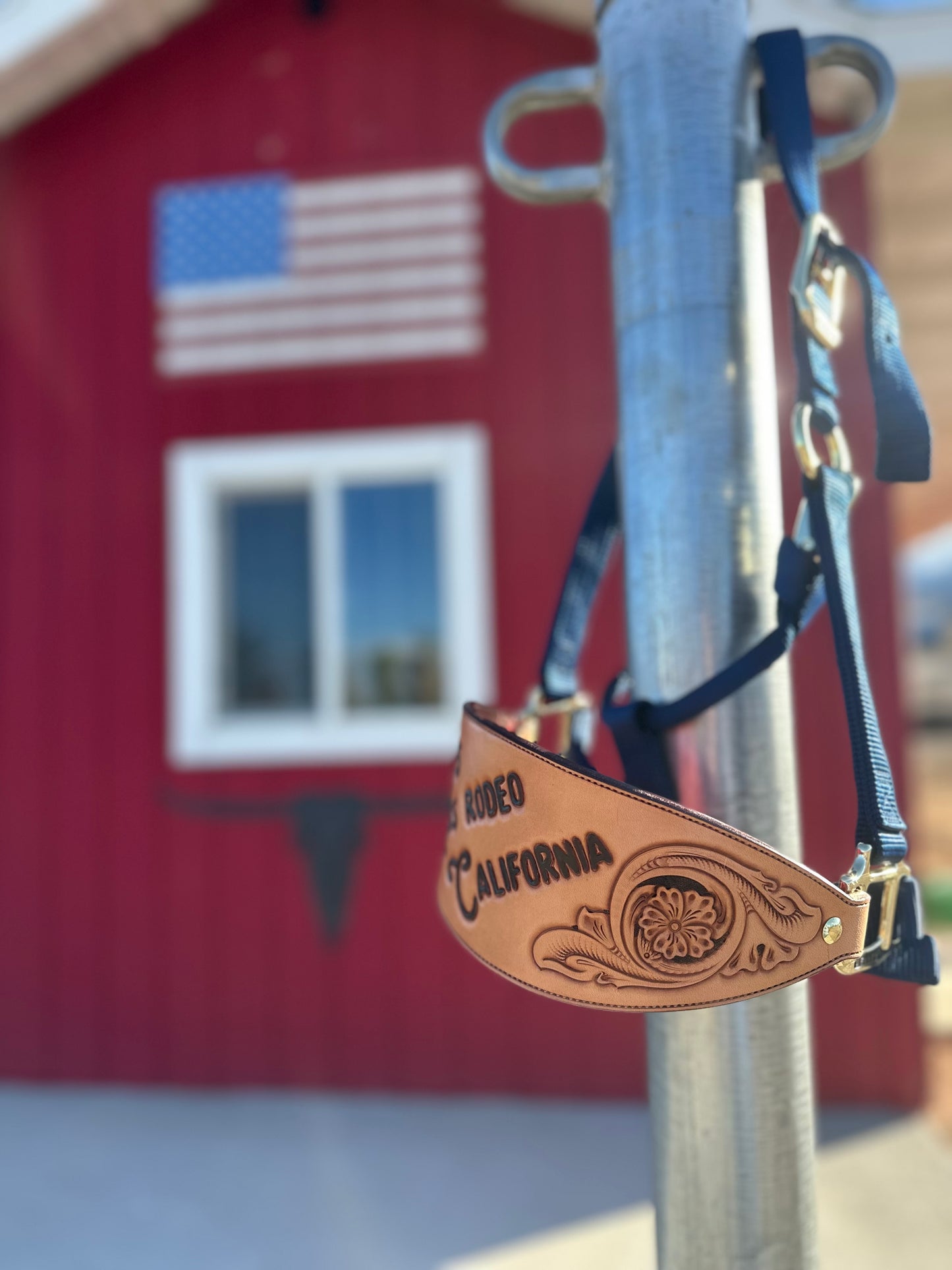 Custom Bronc Halter Noseband